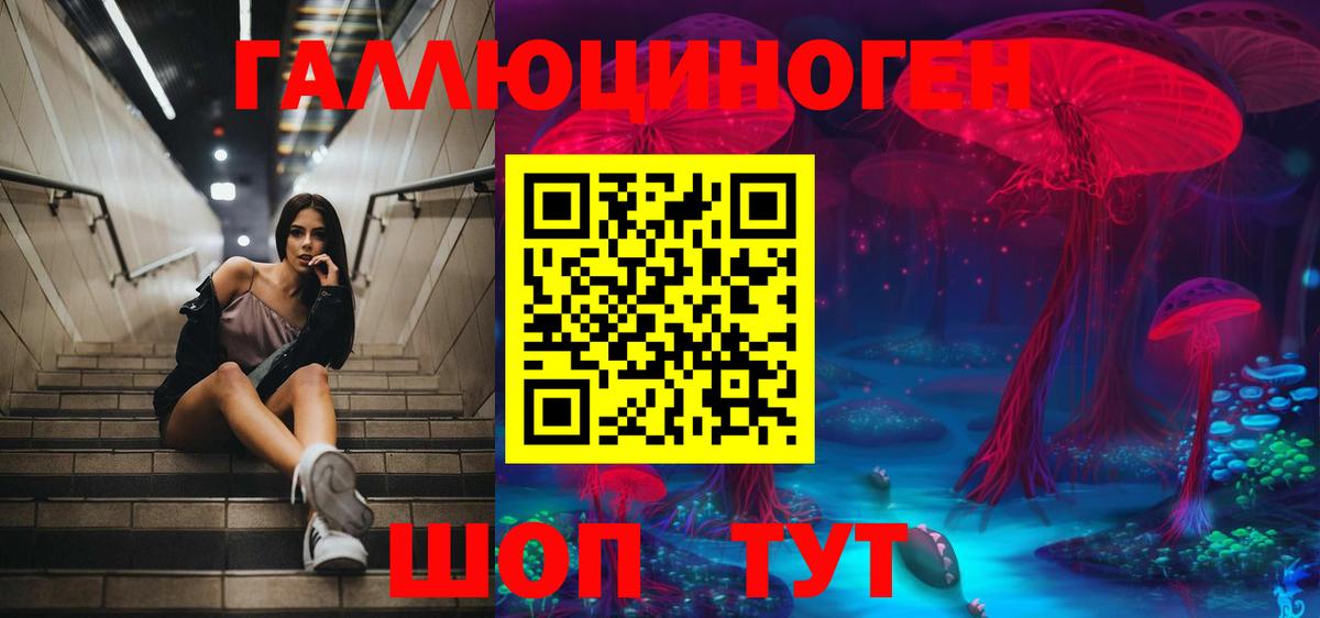 Галлюциногенные грибы прущие грибы Геленджик