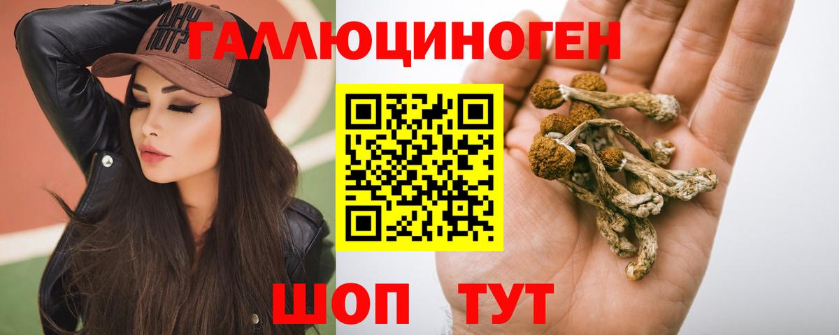 Галлюциногенные грибы мицелий  Вход с VPN  Геленджик  Псилоцибиновые грибы прущие грибы 